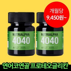 뉴트리알파 프로테오글리칸 콘드로이친 보스웰리아 초록입홍합, 2개, 30정