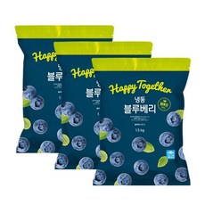 생활앤 냉동 블루베리 1.5kg x 3팩, 3개