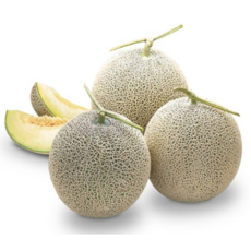산지직송 프리미엄 고당도 머스크메론 4kg 8kg 초고당도 가정용 선물용, 1개
