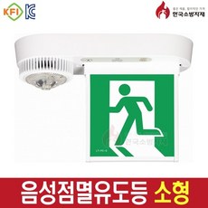 한국소방자재 음성점멸 유도등 소형 천정형, 1개