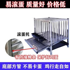 관상닭