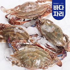 산지직송 서해안 생물 가을 햇 꽃게 1kg