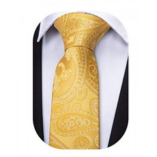 Barry.Wang Solid Gold Ties Paisley Silk Flower Necktie Set Handkerchief Cufflink