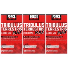 포스팩터 트리뷸러스 2000mg 120캡슐 3병 트리블러스 Tribulus 테스토스테론, 3개, 120정