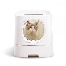 로마샌드베이직