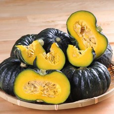 함평천지단호박
