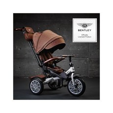 벤틀리트라이시클