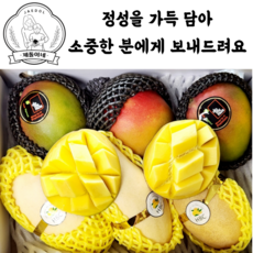 [제돌과일] 당도선별 초고당도 최상급 망고 선물세트, 애플망고 선물세트(보자기무료), 1박스
