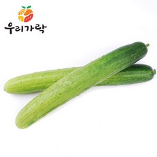 오이지오이50개