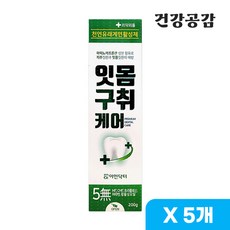 이엔닥터 잇몸 구취 케어 기능성 치약 200g, 5개 - 닥터에이엔