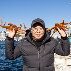 동해안 포항 구룡포 울진 영덕 활 자숙찜 대게, 1박스, 대 사이즈(10cm) 6마리