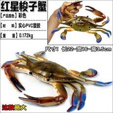 람보르기니반지