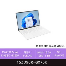 LG 그램15 15ZD90R-GX76K 1TB교체(zoaa)