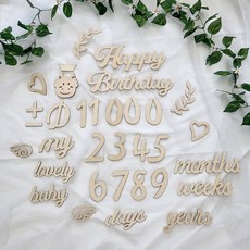 2024 용띠 신생아 우드토퍼 아기 50일 셀프촬영 소품 베이비 디데이 우드디데이 우드 아기성장카드 풀세트 (파우치포함), 1개