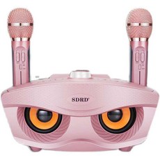 소형이동식노래방세트