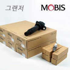 그랜저HG 3.0 가솔린 점화플러그 코일 1대분 세트 18846-11070 27301-3CEA0