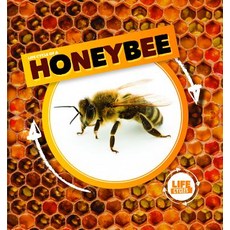 (영문도서) Life Cycle of a Honeybee Library Binding, Kidhaven Publishing, English, 9781534527270