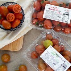 스위프리샤인마토