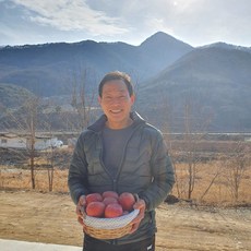 문경 농부장터 사과, 중과 10kg (36~38과)