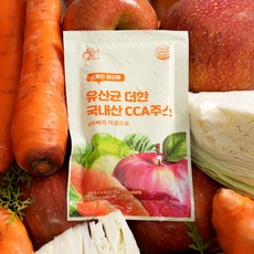 황금이네 유산균 더한 국내산 CCA주스, 100ml