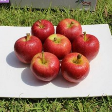 딜모아 MD 한입사과 미니사과 알프스오토메 3kg 사과, 1