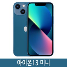 Apple 아이폰 13 mini 자급제