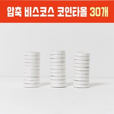 코스트코동전티슈