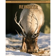 Reindeer: Amazing Facts and Pictures about Reindeer for Kids Paperback, Independently Published