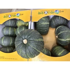 (단골상회)최고품 국내산 미니단호박 미니 밤호박 (6~10수), 1박스, 3kg