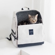  프로젝트21 눕눕백 (고양이 이동장 레귤러 스크래처 이동가방 캐리어 백팩 병원 산책), 노즈워크 패드, 점보 