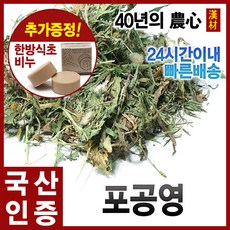 박홍근홈패션라벨르민들레