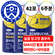 연세생활건강 RKR 진짜 맛있는 17종 유산균 혼합 콤부차 망고, 5g, 14포, 3개