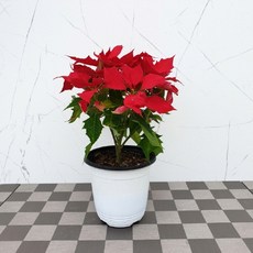 e2c9375015f739c656ed24e61a6bd17c7ff256c268dc1ca48d3beda505bd.jpg
