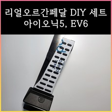 아이오닉5견인장치