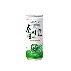 솔의눈