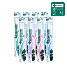 덴티스테 이중 미세모 칫솔