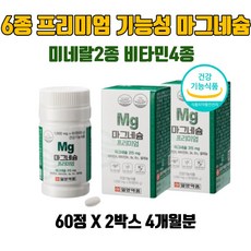 24개월그네