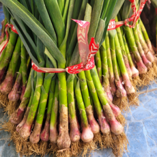 산지직송 통영 비진도 풋마늘 잎마늘, 4kg, 1박스