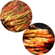 빛이나라파김치
