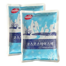 [라이펀] 코스모스 부직포 아이스팩(800ml) 2개, 단품