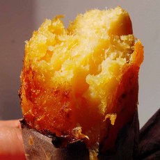 새우꽝감자꽝고구마꽝