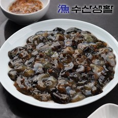 거제도 프리미엄 자연산 해삼 (냉장) 500g, ONE COLOR