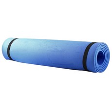 jaju에바쿠션