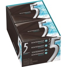5 Gum Wintermint Ascent Sugarfree 오껌 원터민트 어센트 무설탕 껌 15피스 10팩, 1개