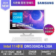 삼성 일체형PC DM530ADA-L38A 8GB SSD256GB WIN11 - N