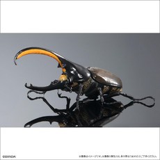 반다이 생물도감 헤라클래스 장수풍뎅이 딱정벌레, 03, 날개 부착 / 브래킷 없음 / 스팟 샷 발사