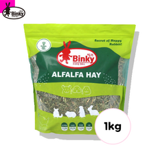 필립정의힐링타임