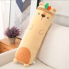 바디필로우+커버