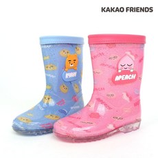 라이언과춘식이의집