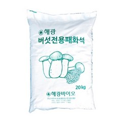 패화석